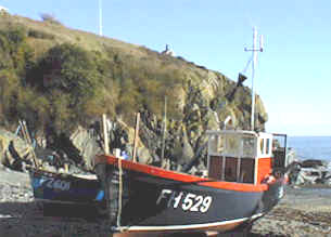 wpeDE.jpg (10780 bytes)