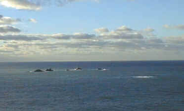 wpe24.jpg (6618 bytes)